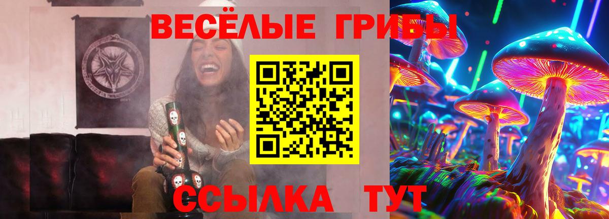 наркота  Вход с VPN  Псилоцибиновые грибы ЛСД  Краснокамск  Псилоцибиновые грибы Cubensis 