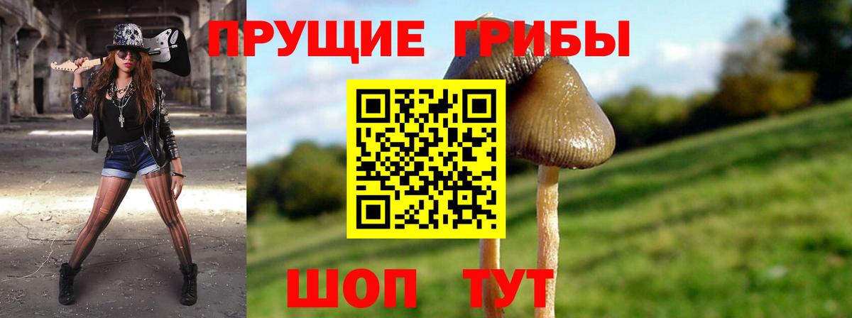 Галлюциногенные грибы MAGIC MUSHROOMS Краснокамск