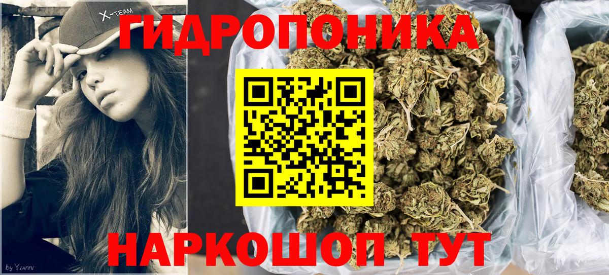 Шишки марихуана Amnesia Краснокамск